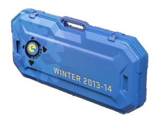 ЗимнийкейсeSports2013